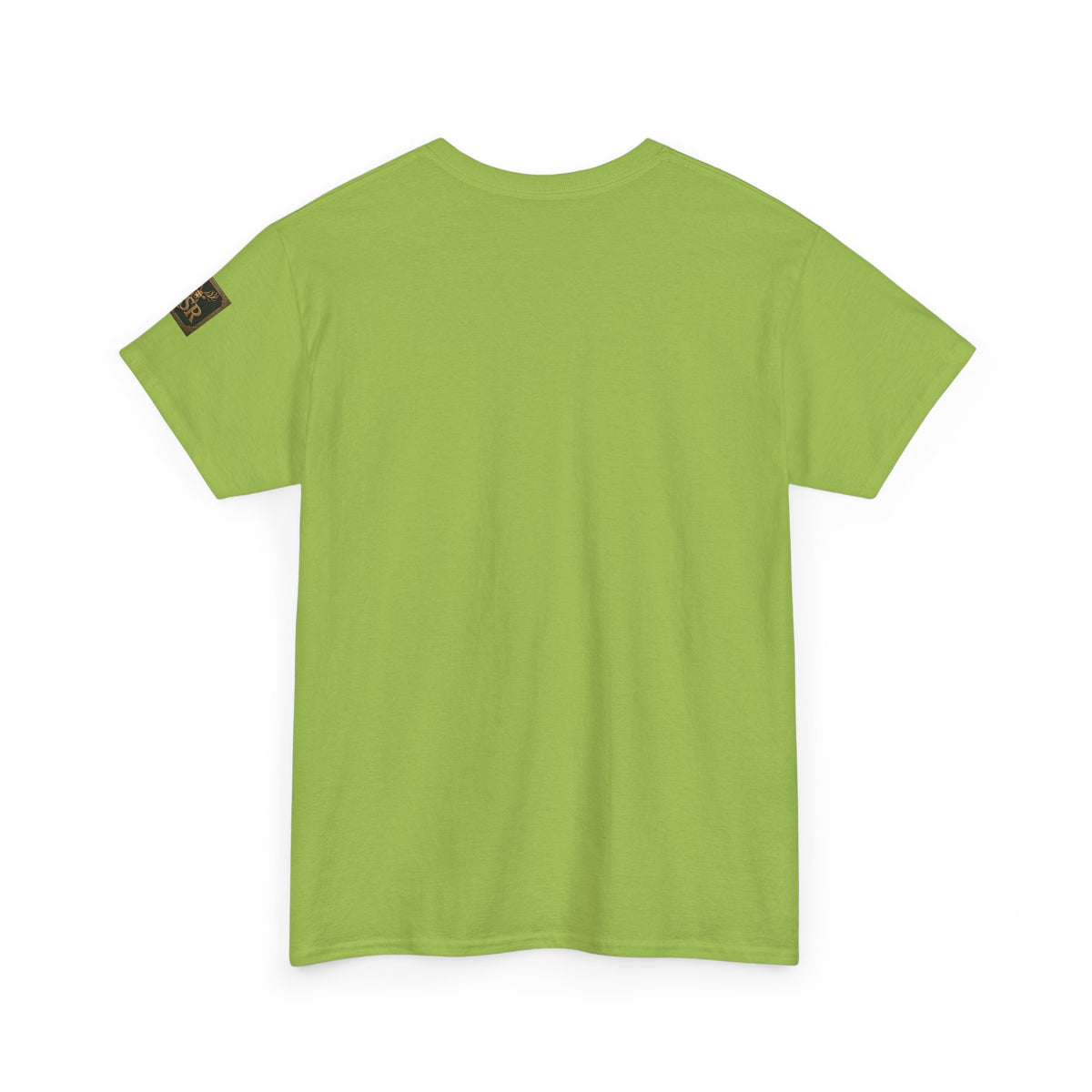 Sober Not a Fucking Saint T-Shirt
