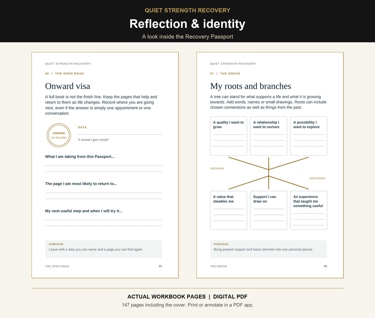 Actual Recovery Passport pages: Outward visa reflection and My roots and branches